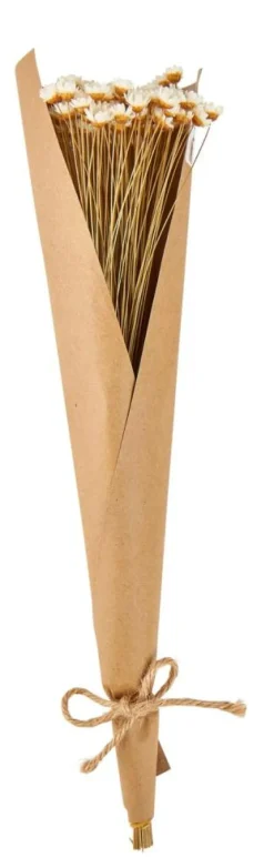 CASA ACTINO Fleurs Séchées Blanc