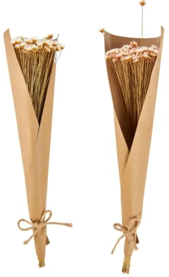 CASA ACTINO Fleurs Séchées Blanc