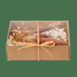 CASA BOX Déco Séchée Diverses Couleurs