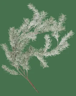 CASA CEDER Branche Décorative Vert