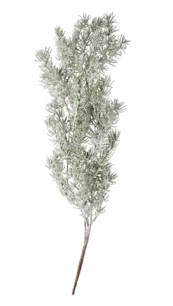 CASA CEDER Branche Décorative Vert