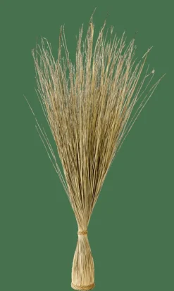 CASA COGON Botte D'herbe Naturel