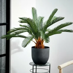 CASA CYCAS Palmier Vert