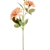 CASA DAHLIA Tige De Fleurs Pêche