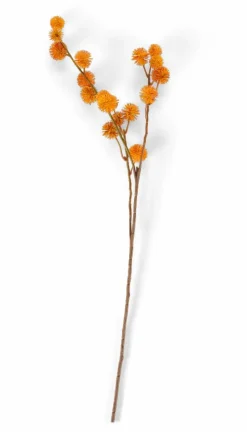 CASA DANDIL Tige Orange