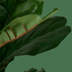 CASA FIGI Plante Artificielle Diverses Couleurs