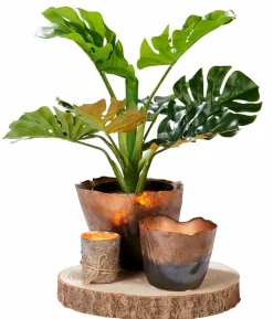 CASA FINA Bougies Set De 6 Vert