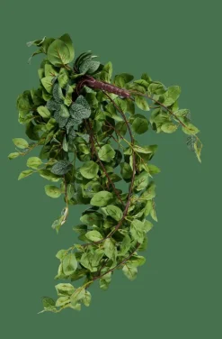 CASA FITTONIA Guirlande Feuilles Vert