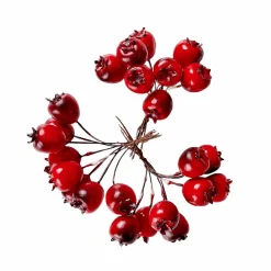 CASA FOAM Branche De Grenadier Rouge