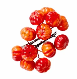 CASA FOAM Branche De Grenadier Rouge