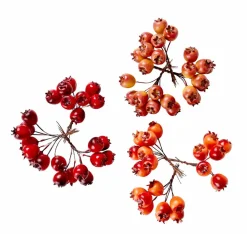 CASA FOAM Branches D'églantier Rouge