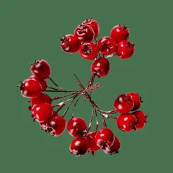 CASA FOAM Déco églantier Rouge