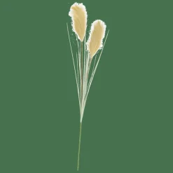 CASA GRASS Panicule De Roseau Vert