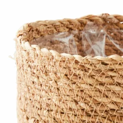 CASA GREEN Boule Buis Vert