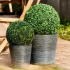 CASA GREEN Boule En Buis Artificielle Vert