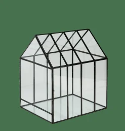 CASA GREENHOUSE Terrarium Transparent