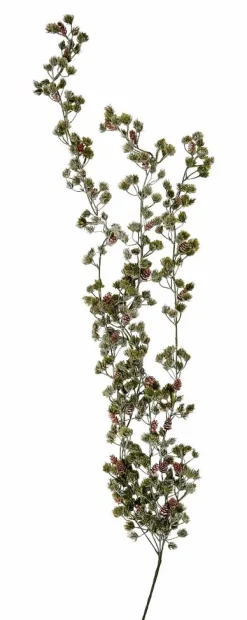 CASA HYMNE Branche Décorative