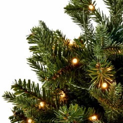 CASA HYMNE Branche Décorative Vert