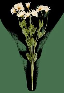 CASA INDI Tige De Fleurs Crème