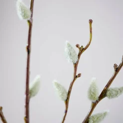 CASA JULIA Vase Vert