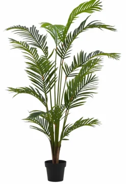 CASA KWAI Palmier Vert