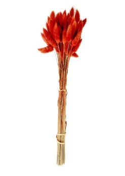 CASA LAGURUS Lagure Ovale Naturel