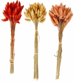 CASA LAGURUS Lagure Ovale Naturel