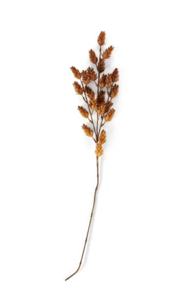 CASA LINDE Vase Brun Clair