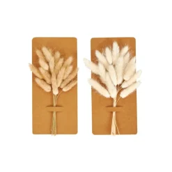 CASA MINA Déco Séchée Blanc