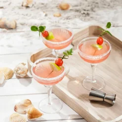 CASA MIXOLOGY Verre à Cocktail 22,5 CL Transparent