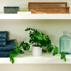 CASA MONSTERA Plante Diverses Couleurs, Blanc, Vert