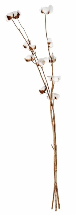 CASA MONTANA Vase Sable