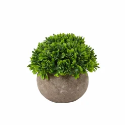 CASA OAK Socle Naturel