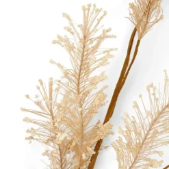 CASA PAMPA Herbe Des Pampas Blanc