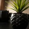 CASA PINA Plante D'ananas En Pot Noir