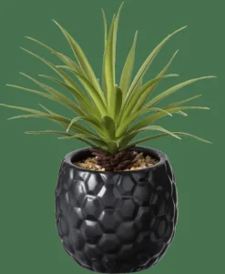 CASA PINA Plante D'ananas En Pot Noir