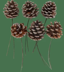 CASA PINECONE Pommes De Pin Set De 6 2 Couleurs Blanc, Argent