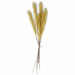 CASA PLUME Plumes Décoratives Brun Clair