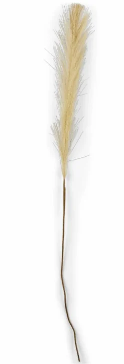 CASA PLUME Plumes Décoratives Brun Clair