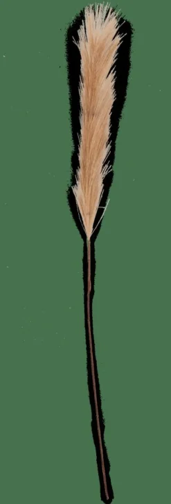 CASA PLUME Plumes Décoratives Brun