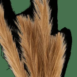 CASA PLUME Plumes Décoratives Brun