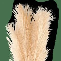 CASA PLUME Plumes Décoratives Crème