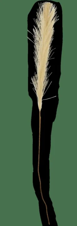 CASA PLUME Plumes Décoratives Vert