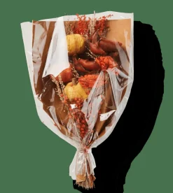 CASA PUMPI Bouquet Fleurs Séchées Diverses Couleurs