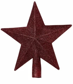 CASA STAR Décoration Séchée