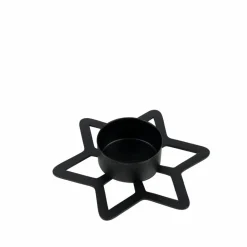 CASA STAR Décoration Séchée