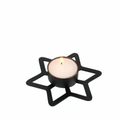 CASA STAR Décoration Séchée