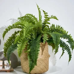 CASA STRIPE Pot à Suspendre Naturel