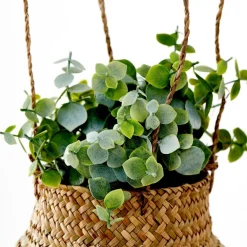 CASA TERRA Pot Avec Plante Blanc, Vert