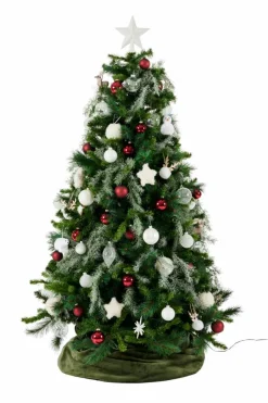 CASA WHITE Branche D'eucalyptus Blanc